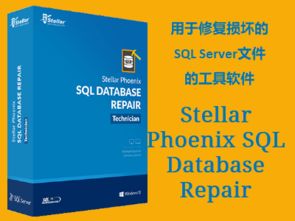 信息系統(tǒng)集成項目管理軟件在阿里云云市場的應(yīng)用與產(chǎn)品解析