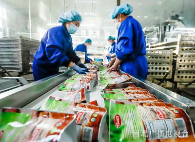 河北遵化 出口栗仁加工忙 特色產業助食品出口