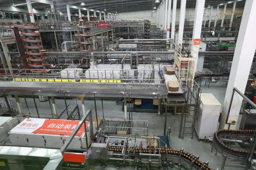 獨家優品價高何解？內地游客眼中的香港食品出口新觀察